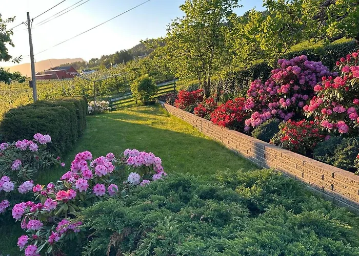 Casa Hauge - Fjord View Πανσιόν