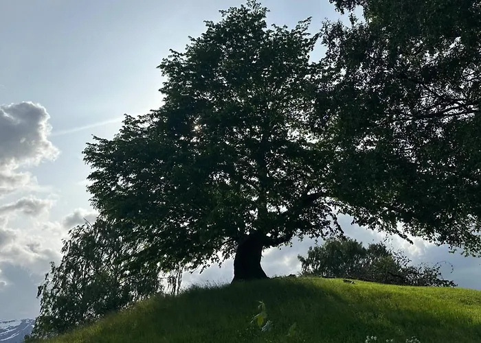 Casa Hauge - Fjord View * Sandane